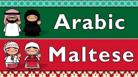 SEMITIC: ARABIC &amp; MALTESE