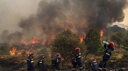 Greek firefighters make progress in taming deadly forest blaze burning for 4 days