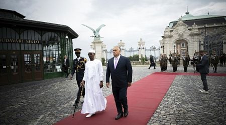 Hungary seeks foothold in restive Sahel as West pulls out