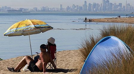 'Second Summer' Breaks Records in the Bay Area