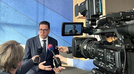 Romanian-Hungarian MEP Calls on Stronger Minority Rights Protection