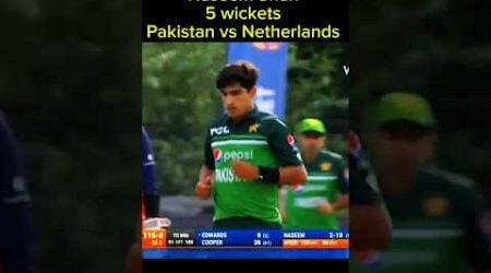 Naseem Shah 5 wickets vs Netherlands | 3rd ODI - Netherlands vs Pakistan