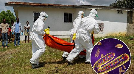 Fears Ebola-like 'eye-bleeding disease' that's killed 9 has spread to Belgium - as hospital visits banned