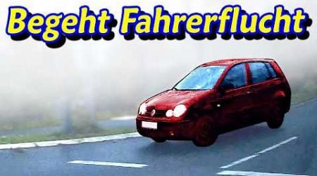 Unfall mit Fahrerflucht, Mutter des Jahres und Blitzeinschlag | DDG Dashcam Germany | #605