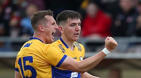 Clare attacker calls for calm in search for new Banner boss after Mark Fitzgerald departure