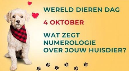 Werelddierendag: wat zegt numerologie over jouw favoriete dier?