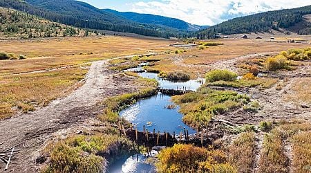 The Coolest Way to Help Protect Your Favorite Outdoor Spaces? Build Beaver Dams.