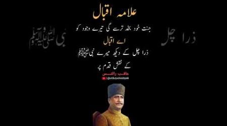 Dr Allama Iqbal Poetry #iqbalpoetry #urdupoetry #viralpost #ytshorts #viralvideo #explore #1million