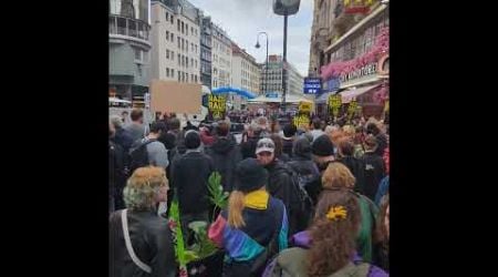 Protest in Vienna, Austria near St. Stephens Cathedral