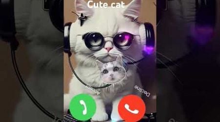 Cute cat calling you ##cat ##shortvideos