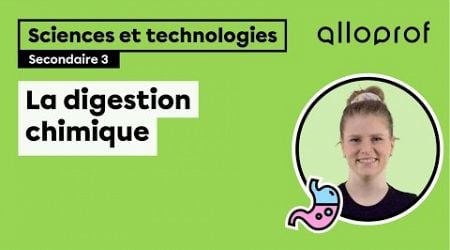 La digestion chimique | Sciences et technologies | Alloprof