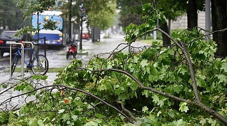 Record-high insurance amount paid in Latvia after July storm