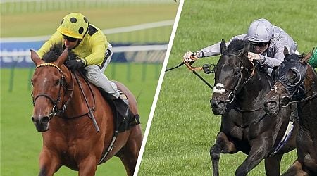 'The race could set up well for him' - trainers on their runners in the big handicap at Ascot