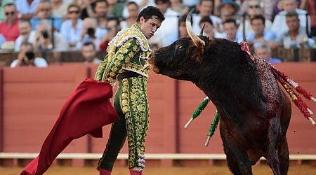 Bullfights in Spain and Portugal should be child-free zones, say campaigners