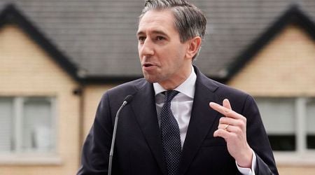 Catch 22 for Simon Harris as election options narrow and risk of backlash increases