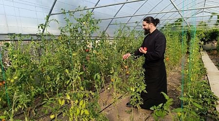 Hieromonk Dimitrie Plans to Establish Romania's First Phytotherapy Clinic