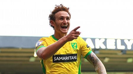 Norwich City 4-0 Hull City: Canaries dominate Tigers in comfortable win