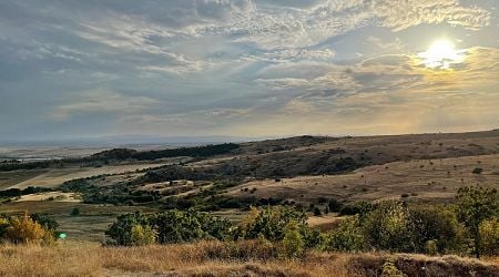 Over 30 New Artificial Nests to Make Southern Bulgaria More Attractive to Endangered Saker Falcon