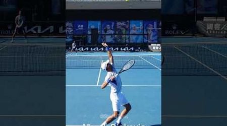 Novak Djokovic Serve - Slow Motion #shorts