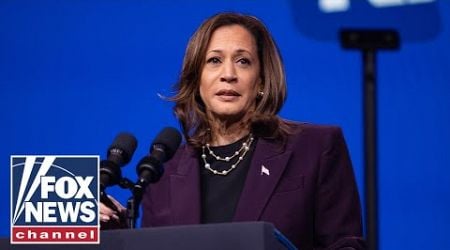 Kamala Harris under fire for border visit: &#39;She doesn&#39;t care!&#39;