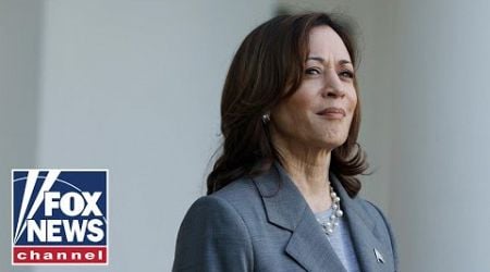 Kamala Harris blasted for ignoring questions on Helene response