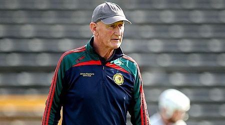 Brian Cody's beloved James Stephens relegated after almost 70 years at senior