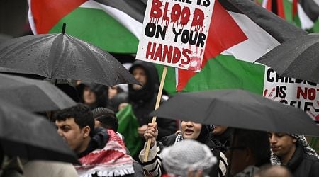 Pro-Palestinian demonstrators take to streets in Rome