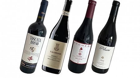 Time to embrace those richer autumnal red wines