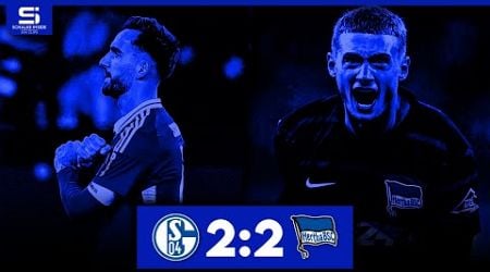 FC Schalke 04 - Hertha BSC 2:2 | Tore &amp; Highlights | Stadion Reaktion