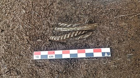 Viking-Era Silver Arm Rings Unearthed in Norway