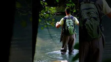 Rainbow trout flyfishing in Slovenia