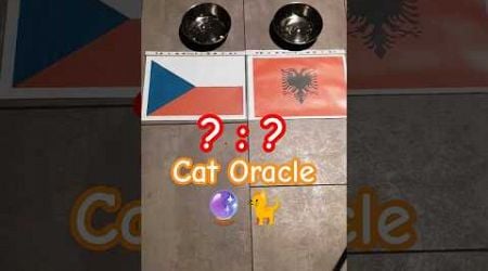 Cat Oracle predicts Czech Republic vs Albania