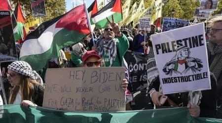 Thousands join pro-Palestine rallies across Europe as anniversary of Gaza war nears