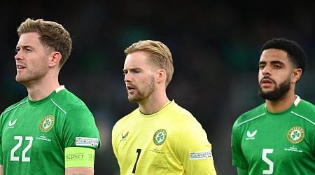 Ireland boss Heimir Hallgrimsson calls on younger generation to take charge of captaincy role