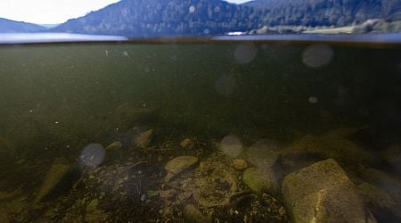 80 years on, French lake still polluted by World War II bombs