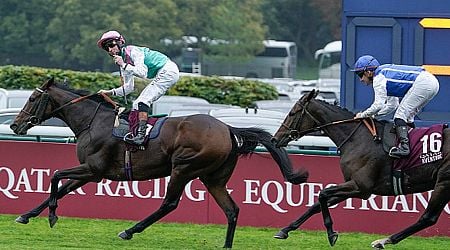 Galway jockey scoops Europe's biggest race as Bluestocking triumphs at Longchamp