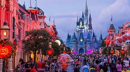 Fall is the best time to visit Disney World. As a former employee, here are 9 of my favorite things to do in the parks.