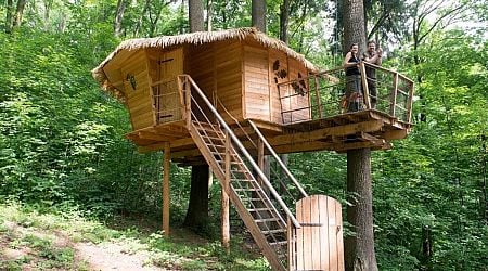 Bratislava lures tourists to a treehouse stay in its popular city park