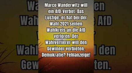 Wanderwitz #shorts #shortsfeed #shortvideo #afd #politik #deutsch #foryou #fyp #bundestag #4u