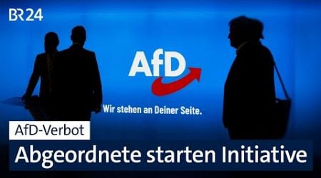 AfD-Verbot: Abgeordnete starten Initiative | BR24