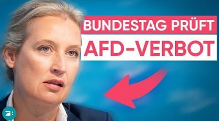 Nach Eklat in Landtag: Fast 40 Abgeordnete wollen AfD-Verbotsverfahren beantragen