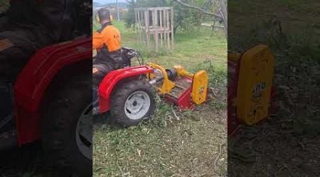 Drobljenje smokve/ Crushing fig branches #hrvatska #croatia #greenislandbygrgo #mulcher #mulching