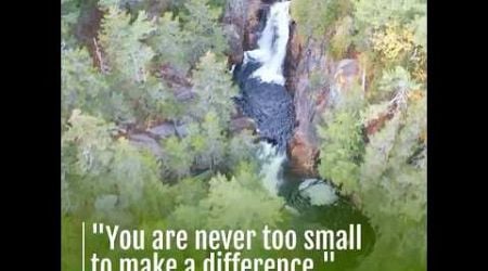 You are never too small in life to make a difference.