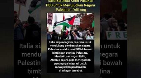 Italia Bersedia Kirim Pasukan PBB untuk Mewujudkan Negara Palestina - YdfLong