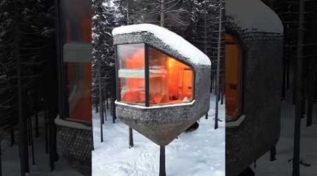 Norway&#39;s Luxury Tree House #shortsvideo