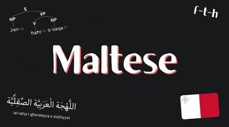 The Maltese Language