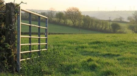 Intense efforts underway to reduce impact of farm inheritance tax changes: As real-life examples reveal potential impact 