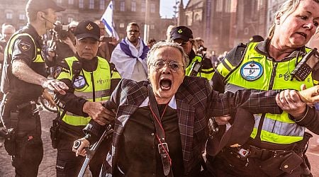 Riot police break up pro-Palestine demo in central Amsterdam