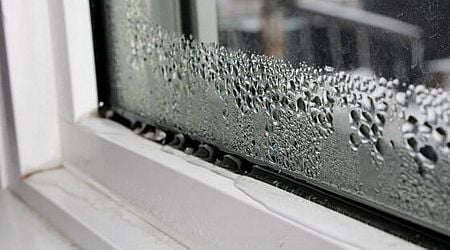 Stop condensation dripping on windows for good with common household items