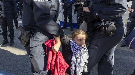 Greta Thunberg arrested during Brussels climate protest